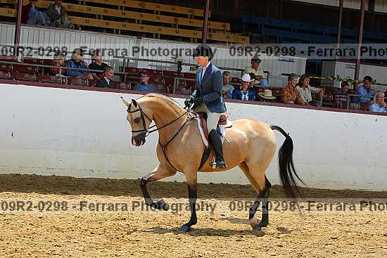 Proof 09r2-0298