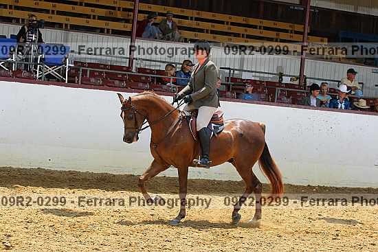 Proof 09r2-0299