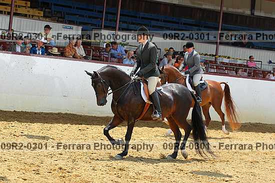 Proof 09r2-0301