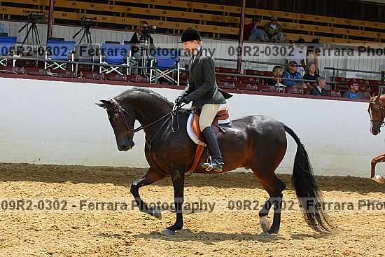 Proof 09r2-0302