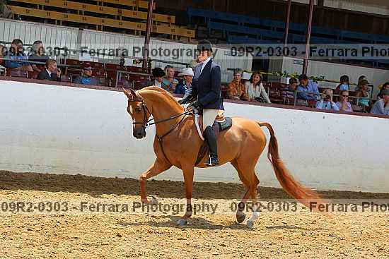 Proof 09r2-0303