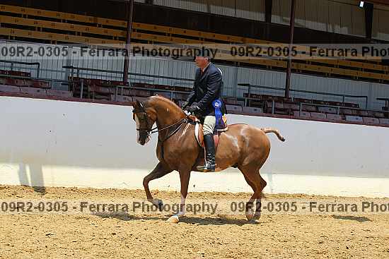Proof 09r2-0305