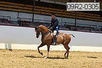 09r2-0305 proof