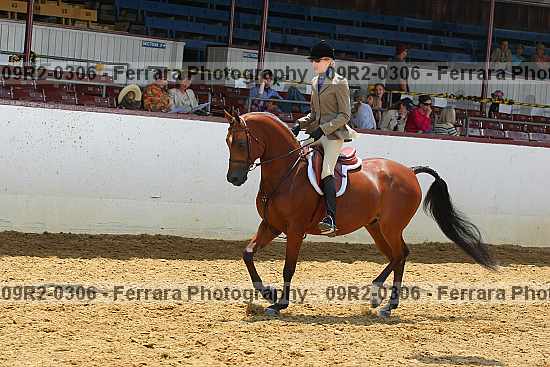 Proof 09r2-0306