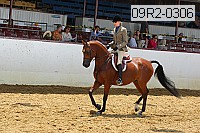 09r2-0306 proof