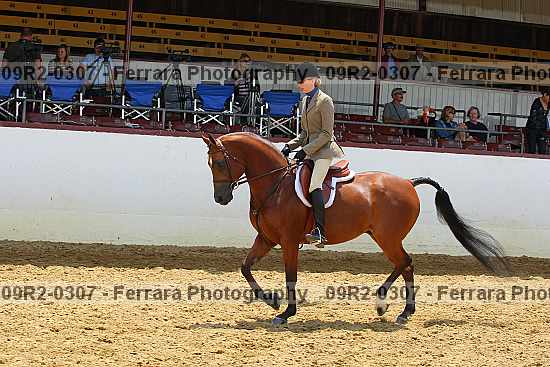 Proof 09r2-0307
