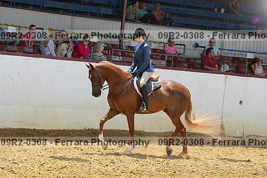 Proof 09r2-0308