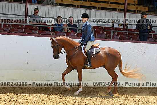 Proof 09r2-0309