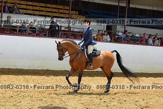 Proof 09r2-0310