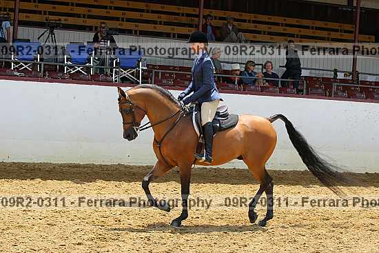 Proof 09r2-0311