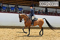 09r2-0311 proof
