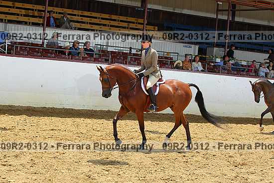 Proof 09r2-0312