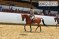 09r2-0312 proof
