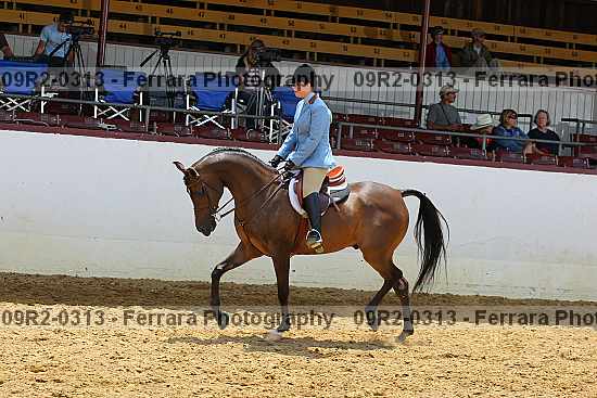 Proof 09r2-0313