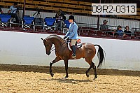 09r2-0313 proof
