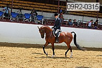 09r2-0315 proof