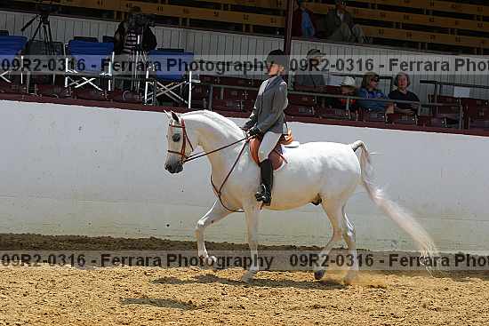 Proof 09r2-0316