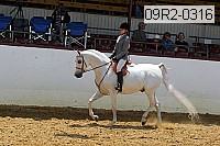 09r2-0316 proof