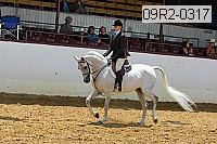 09r2-0317 proof