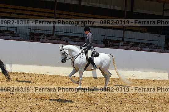 Proof 09r2-0319