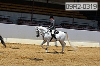 09r2-0319 proof