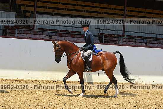 Proof 09r2-0320