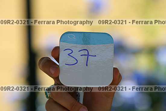 Proof 09r2-0321