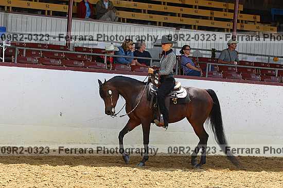 Proof 09r2-0323
