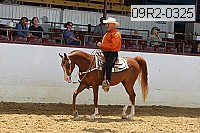 09r2-0325 proof