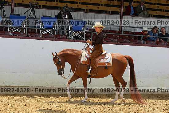 Proof 09r2-0328