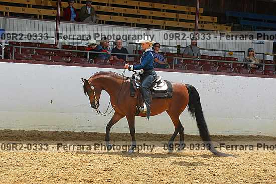 Proof 09r2-0333