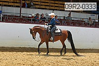 09r2-0333 proof