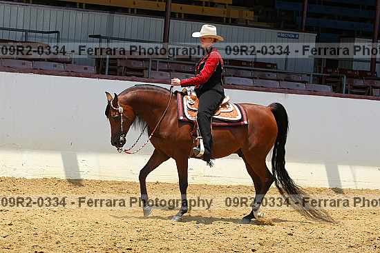 Proof 09r2-0334