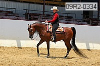 09r2-0334 proof