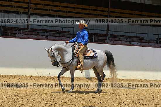 Proof 09r2-0335