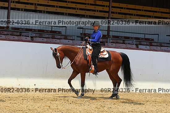 Proof 09r2-0336
