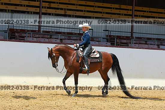 Proof 09r2-0338
