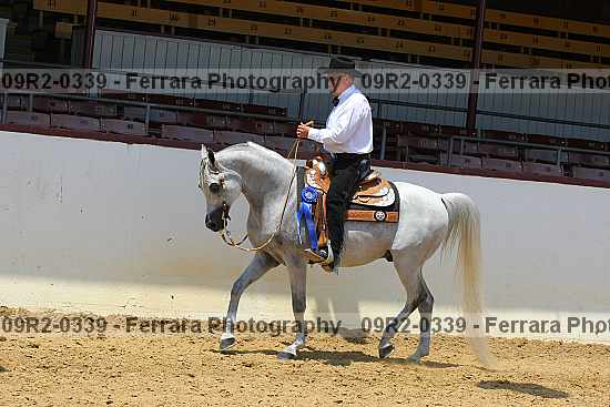 Proof 09r2-0339