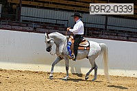 09r2-0339 proof