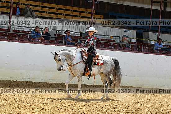 Proof 09r2-0342