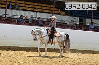 09r2-0342 proof