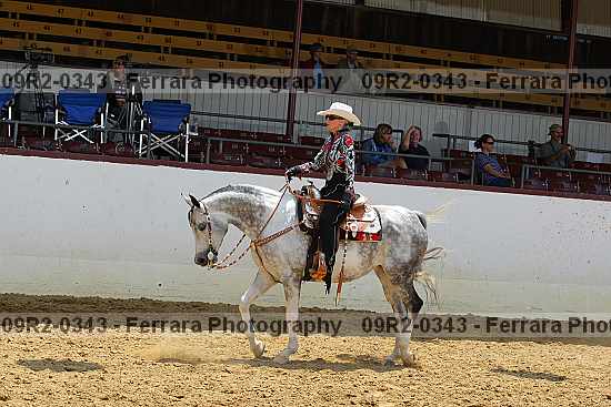 Proof 09r2-0343