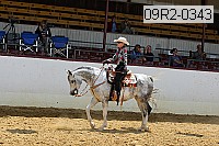09r2-0343 proof