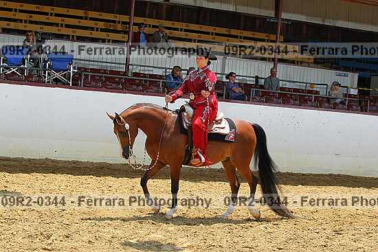 Proof 09r2-0344
