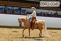 09r2-0345 proof