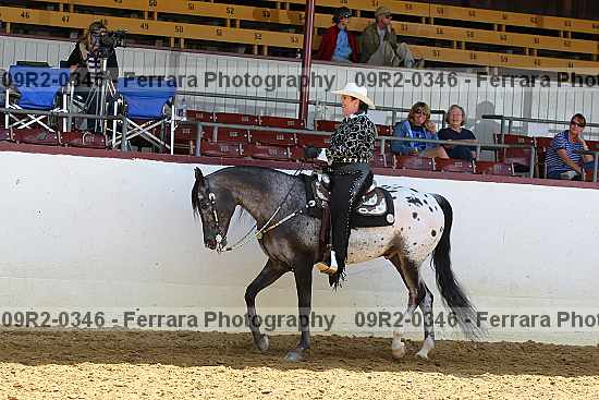 Proof 09r2-0346