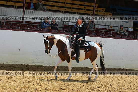 Proof 09r2-0348