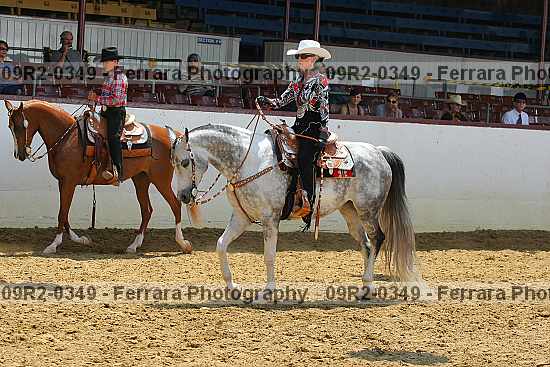Proof 09r2-0349