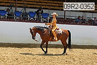 09r2-0352 proof