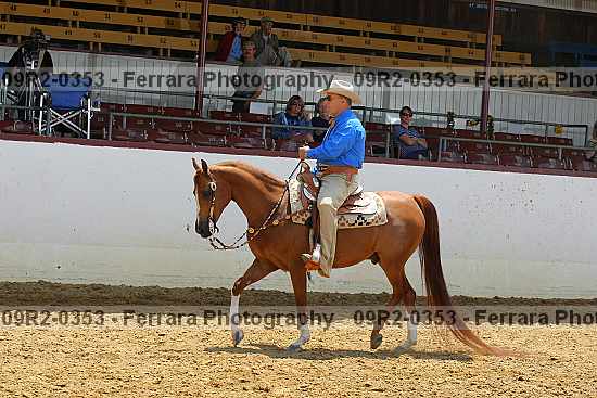Proof 09r2-0353